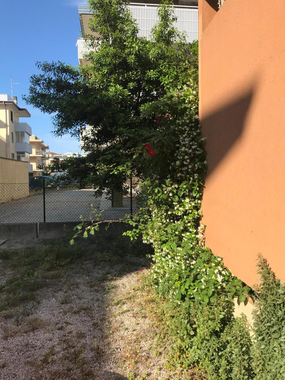 Monolocale A Grado Lägenhet Exteriör bild